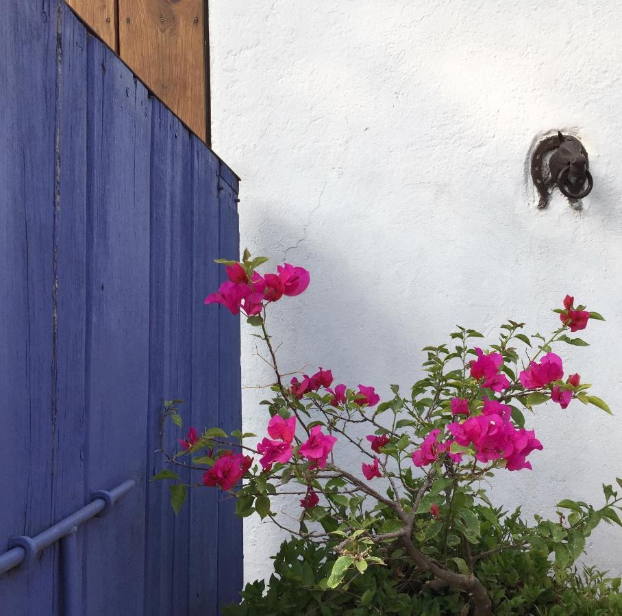 Posada Colibri - Hotel & Spa San Juan Teotihuacán المظهر الخارجي الصورة